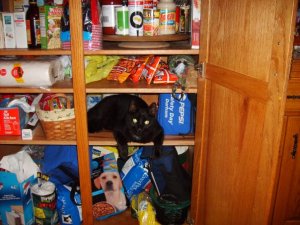 1917884_180500932317_4168656_n