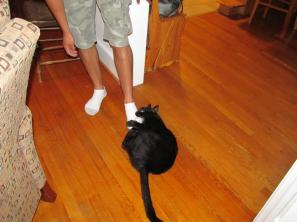 422248_10151149580347318_115176804_n