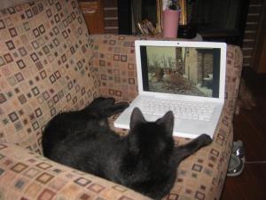 481120_501645096518889_951121600_n