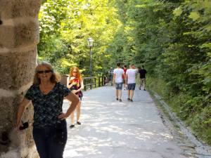 11700877_10153540035497318_8025918343233671975_n