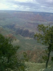 215395_117506204994730_4657355_n