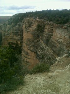 217212_117506228328061_6161285_n